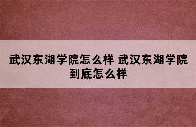 武汉东湖学院怎么样 武汉东湖学院到底怎么样